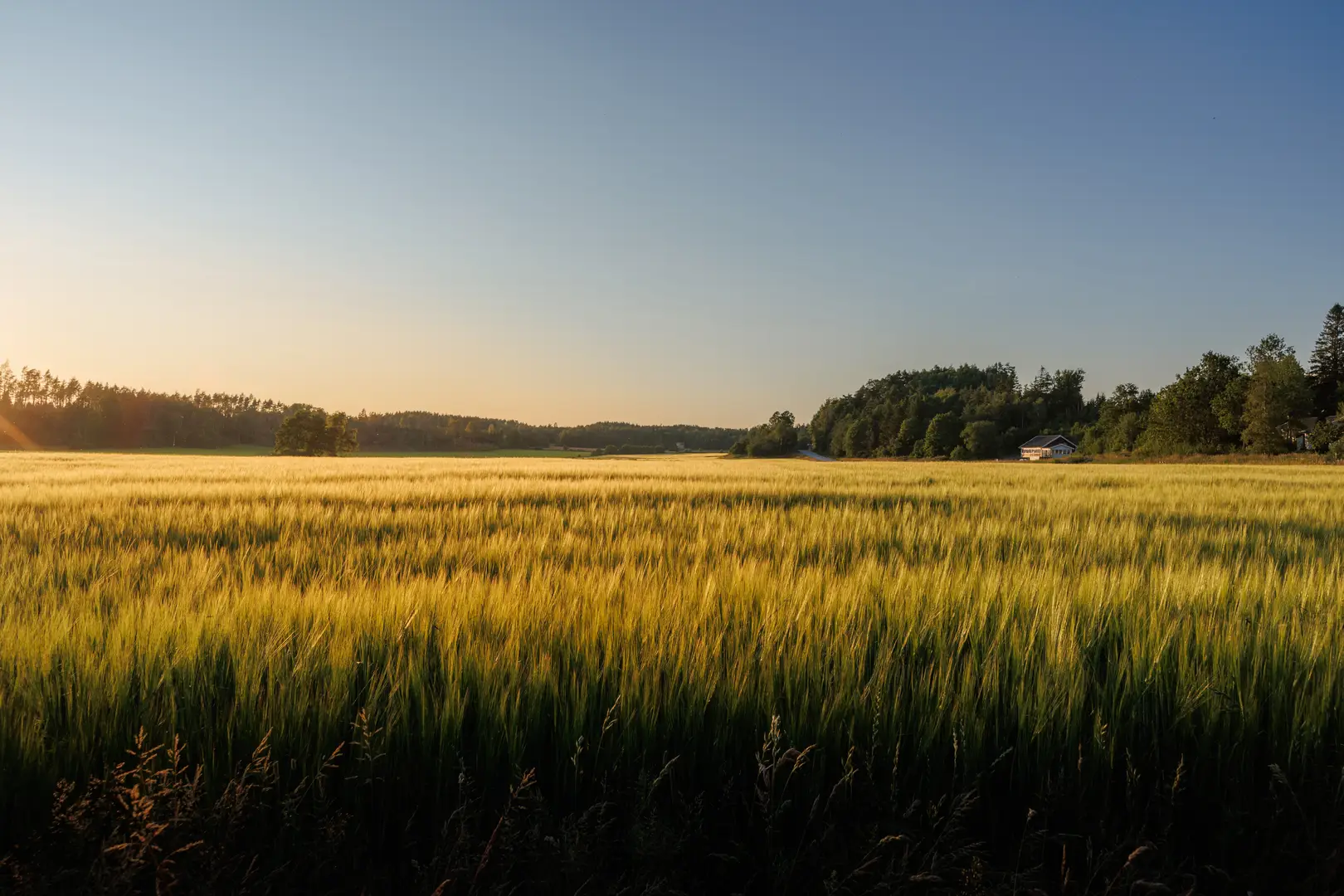 Radonsanering Katrineholm